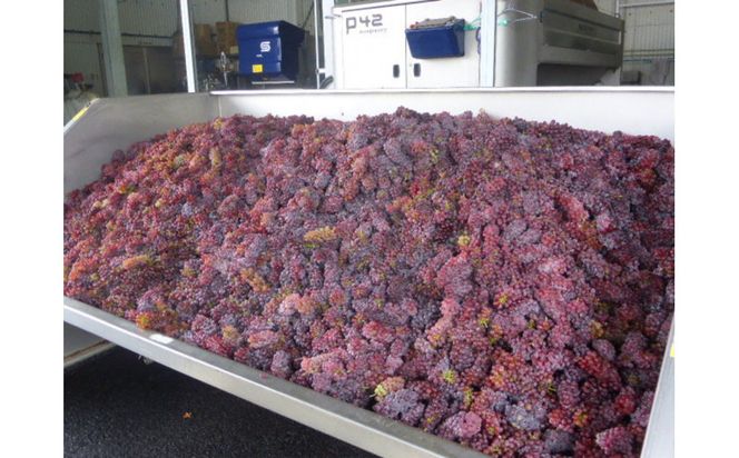 100%ぶどうジュース甲州4本セット 322032_CL002