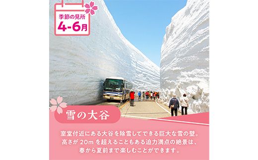 立山黒部アルペンルート ( 立山駅 ～ 扇沢駅 ※片道 ) 優待券 立山黒部貫光 観光 旅行 券 チケット 体験 トラベル 黒部 富山県 立山町 F6T-780