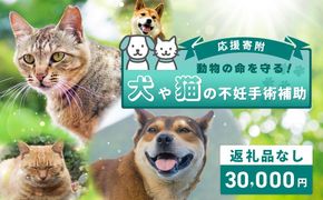 ON0028 【返礼品なし】動物の命を守る！犬や猫の不妊手術補助 応援寄附（大阪府泉佐野市）　