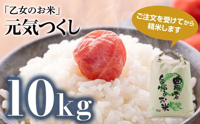 令和6年産「乙女のお米」元気つくし １０kg