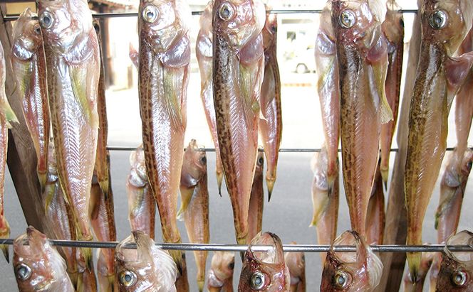 ハタハタ（特々大）干物 一夜干し 450g ×1箱【配送不可：離島】 魚貝類