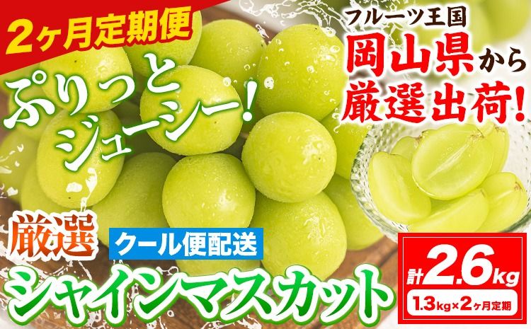 [2ヶ月定期便][2026年発送先行予約]シャインマスカット 岡山 約1.3kg×2ヶ月定期便 計2.6kg [2026年9月上旬-10月末頃出荷]厳選 旬 ぶどう ブドウ 葡萄 マスカット 果物 フルーツ ギフト 岡山県 笠岡市 訳あり クール便 爽やか 贅沢---kasaoka_zsytei_318_13s2---