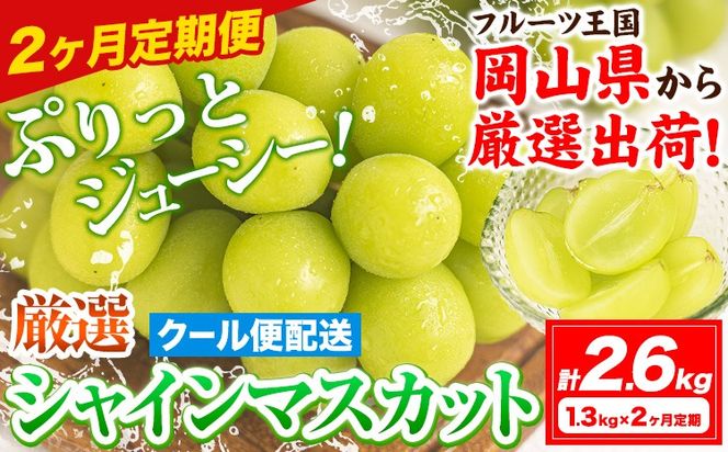 【2ヶ月定期便】【2026年発送先行予約】シャインマスカット 岡山 約1.3kg×2ヶ月定期便 計2.6kg 《2026年9月上旬-10月末頃出荷》厳選 旬 ぶどう ブドウ 葡萄 マスカット 果物 フルーツ ギフト 岡山県 笠岡市 訳あり クール便 爽やか 贅沢---kasaoka_zsytei_318_13s2---
