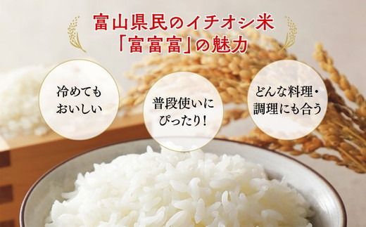 【令和7年度産米】【農家直送】環境配慮「魚津の富富富（晃米）」白米5kg ※北海道・沖縄・離島への配送不可