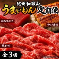 【定期便 全3回】紀州和歌山うまいもんセットB（生まぐろ・うなぎ蒲焼・熊野牛）【UT126】 303446_XF91166