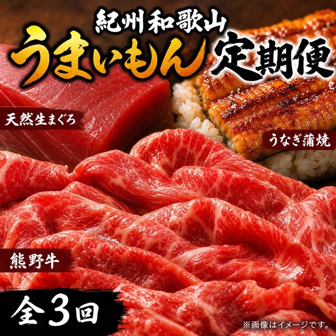 【定期便 全3回】紀州和歌山うまいもんセットB（生まぐろ・うなぎ蒲焼・熊野牛）【UT126】 303446_XF91166