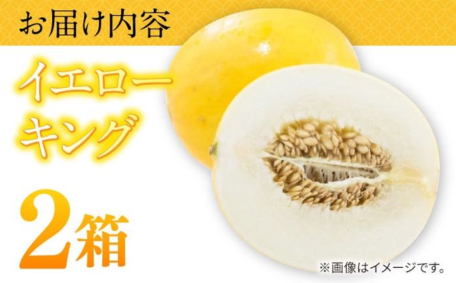 【2026年5月〜発送】メロン イエローキング 2箱 （1箱 3～6玉）/ メロン めろん フルーツ 果物 / 南島原市 / 南島原果物屋[SCV040]