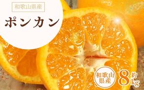 ポンカン 約8kg/サイズおまかせ　※2027年1月下旬～2月下旬頃に順次発送予定(お届け日指定不可)　紀伊国屋文左衛門本舗　【kztb450B】
