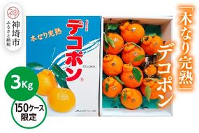 【2025年3月中旬より発送開始】【木なり完熟】デコポン 3kg 150ケース限定【みかん 柑橘 清美 ポンカン フルーツ デザート】(H116148)