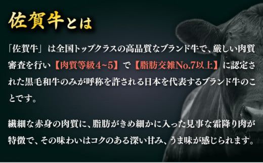 【佐賀牛】ヒレサイコロステーキ 500g F-137