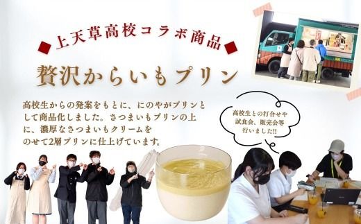 いきなり団子 12個 ＆ 贅沢からいもプリン 4個 【 上天草高校コラボ返礼品 】 合計16個 お菓子 菓子 洋菓子 スイーツ デザート おやつ 冷凍 詰め合わせ 食べ比べ セット
