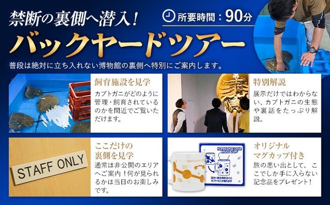 バックヤードツアー 記念品 マグカップ 付き 選べる人数 1名 2名 3名 4名 5名 カブトガニ博物館《寄附お申し込み約1週間後にご連絡差し上げます(土日祝除く)》岡山県 笠岡市 カブトガニ 博物館 バックヤード チケット ツアー 送料無料---K-72---