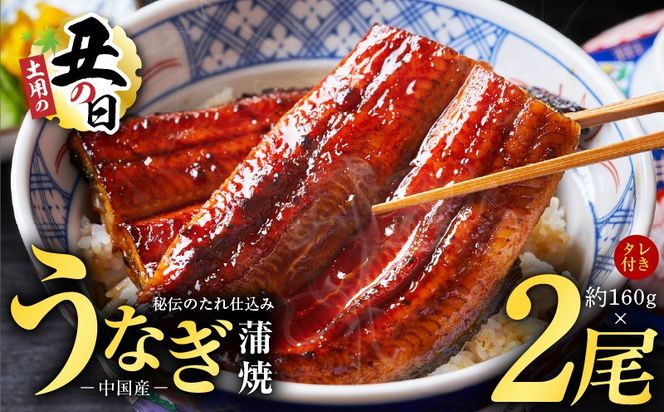 kgp0067-1d 【土用の丑の日までにお届け】うなぎ蒲焼 合計320g【約160g×2尾 特製タレ付 鰻 ウナギ 中国産 レンジ 温めるだけ 簡単調理 ふわふわ 炭火焼き 備長炭 手焼き】