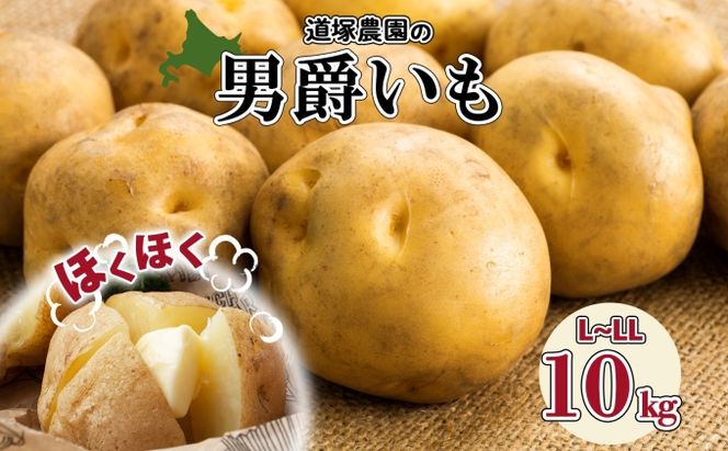 【 2026年 発送 】 先行予約 北海道産 道塚農園 じゃがいも 男爵 計10kg前後 L-LLサイズ ジャガイモ 男爵いも 男爵芋 だんしゃく 馬鈴薯 芋 いも イモ 農作物 野菜 産地直送 