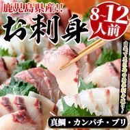 厳選お刺身BOX(8～12人前) 国産 お刺身 魚貝 魚介 鯛 カンパチ ブリ 海産物 刺身 おつまみ セット 【さるがく水産】akn028-27