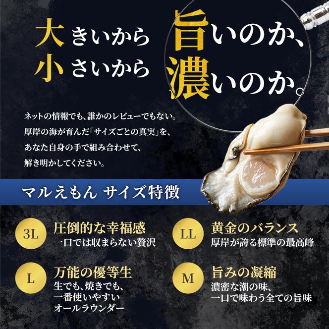 【 3ヵ月 定期便 】 厚岸産 ブランド 殻付カキ マルえもん 生食用 サイズ食べ比べ 24個 (3L・L各12個)[ 魚貝類 生牡蠣 かき 牡蠣 カキ 生ガキ 食べ比べ ]