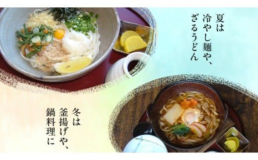 手延べうどん 半生手なえ 2袋 ( 4人前 ) スープ付き 麺 めん 半生 [BE008ci]