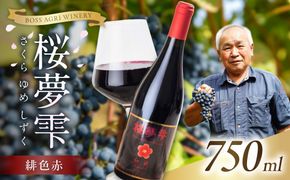 北見産ぶどう100％のワイン 桜夢雫 緋色 赤 ( ワイン 国産 ブドウ 辛口 )【075-0005】