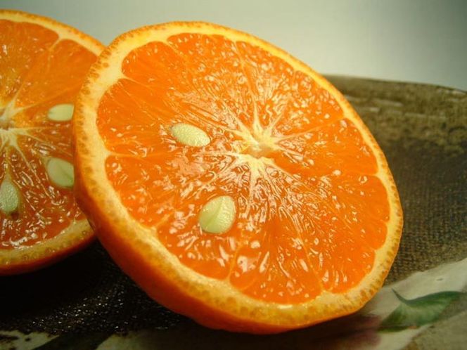 カラマンダリン[約5kg] 和歌山県有田産 春みかん 【果実サイズおまかせ】｜和歌山県産 柑橘 フルーツ 紀伊国屋文左衛門本舗