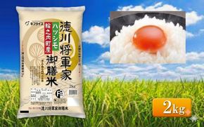 7年産 岐阜県産 ハツシモ （徳川将軍家御膳米） 2kg  米 コメ 精米 白米 大粒 おいしい ごはん おにぎり お弁当 岐阜県 輪之内町