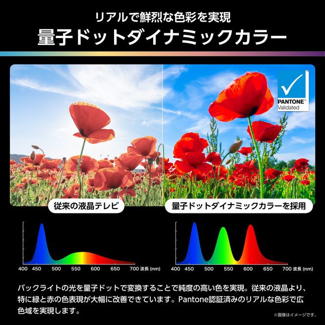 Hisense ハイセンス 3年保証【設置費込み】65V型 65U9R 4K Mini LED 量子ドット 4.1.2ch ダブル録画 チューナー内蔵 ゲームモード Pro ネット動画 YouTube Netflix スマート 2画面 Alexa対応 AirPlay2 液晶 テレビ TV 2025年モデル 壁掛け 人気 おすすめ 家電 送料無料 141305_KC51