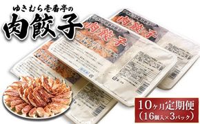 【10ヶ月定期便】ゆきむら壱番亭の肉餃子3パック(48個入り) ※離島への配送不可