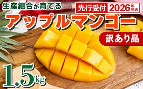 【先行受付】【2026年発送】生産組合が育てるアップルマンゴー 訳あり品 約1.5kg - 先行予約 沖縄県産 産地直送 南国フルーツ 旬の味覚 季節の果物 ご自宅用 家庭用 沖縄県 八重瀬町