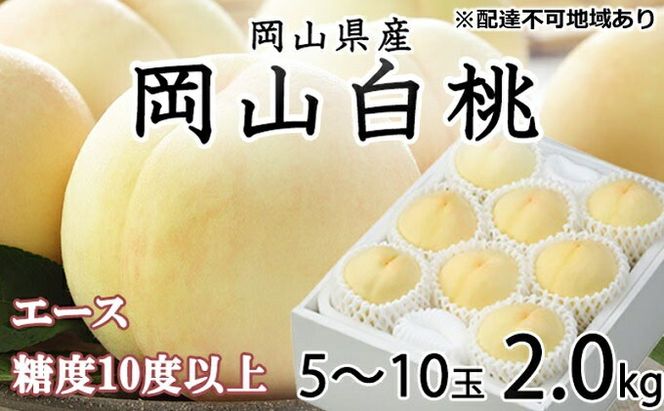 桃 2026年 先行予約 岡山 白桃 エース 5～10玉 約2kg JAおかやまのもも（早生種・中生種） もも モモ 岡山県産 国産 フルーツ 果物 ギフト