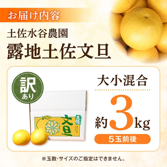 【先行予約】土佐水谷農園の露地土佐文旦 家庭用約3キロ 3kg 大小混合〈2027年1月20日～発送〉フルーツ 柑橘 みかん 果物 くだもの 柑橘類 デザート おやつ 訳あり わけあり【土佐水谷農園】 [BQBD005]