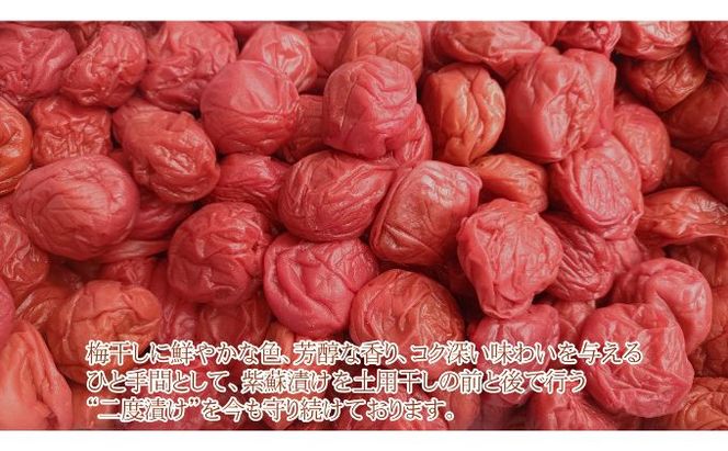 昔ながらの梅干し 一級品（福井県若狭町）伝統製法にこだわり仕上げた無添加・無着色の梅干し／ケース入り400g ご飯のお供 肉厚 種が小さい 紅映 天然塩 鮮やか 芳醇な香り コク 紫蘇漬け 二度漬け すっぱい 