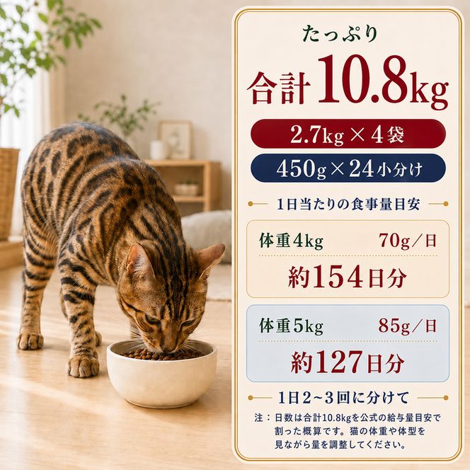 ビューティープロ キャット 下部尿路の健康維持 1歳から 2.7kg ｘ4(ケース単位) キャットフード