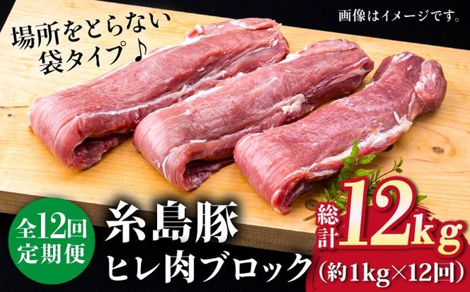 【全12回定期便】糸島産豚肉 ヒレ肉 ブロック 1kg （1本350g前後×3本）《糸島》【糸島ミートデリ工房】 [ACA235] 国産 糸島 豚肉 豚 ヒレ トンカツ トンテキ