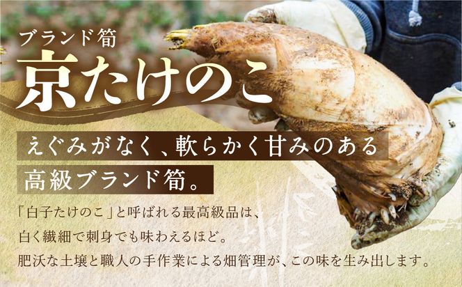 【清水農園】『京たけのこ』収穫体験＋1キロのお土産付プラン 2026年4月19日(日)  (3)15時～の部 1名様分［ 京都 タケノコ 人気 おすすめ 親子 ファミリー 子供向け 送料無料 ふるさと納税 ］ 261009_A-HL012