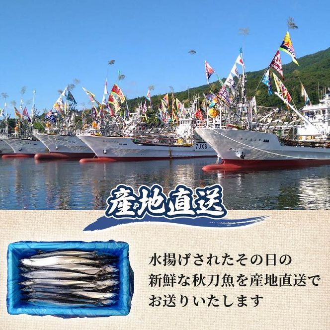 【期間限定】訳あり 鮮さんま 約2kg 冷蔵 20尾～25尾 さんま サンマ 秋刀魚 生さんま 【 yoshidasyouten013】