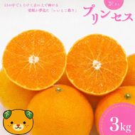 【先行予約：2027年3月上旬～発送】 訳あり プリンセス 愛果48号 3kg  みかん 小玉 愛媛県 の 新品種 高級 人気 ブランド 柑橘 果物 フルーツ サイズミックス 甘い おいしい お取り寄せ 産地直送 農家直送 国産 特産品 中山農園 愛媛県 愛南町