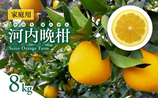 【先行予約】Saito Orange Farmの家庭用河内晩柑8kg ｜ 柑橘 みかん ミカン フルーツ 果物 愛媛　※2025年6月上旬頃より順次発送予定