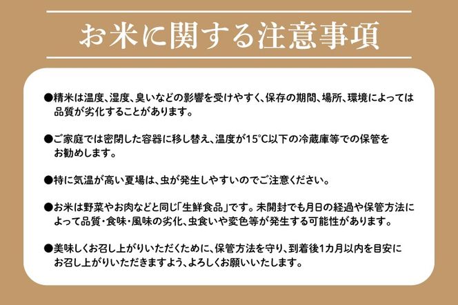 BN042　スマート農業技術を活用した　令和６年産　彩のかがやき白米　５キロ