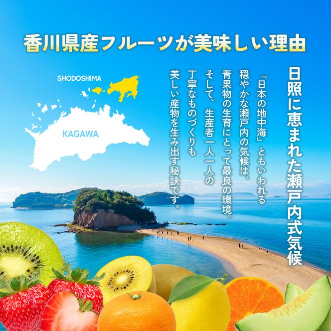 【 小豆島 】小豆島 ゆら早生みかん 約3kg 柑橘 みかん ミカン 果物 フルーツ ゆら早生 ジューシー くだもの 国産 香川 香川県 土庄 土庄町