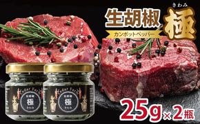 010B1821 生胡椒 極(きわみ) 25g×2本【能登の塩 コショウ こしょう カンポットペッパー スパイス カンボジア】