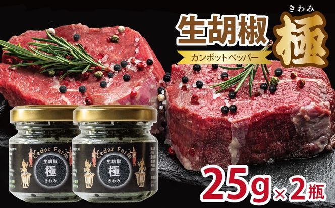 010B1821-1 生胡椒 極(きわみ) 25g×2本【能登の塩 コショウ こしょう カンポットペッパー スパイス カンボジア 圧倒的企業努力】