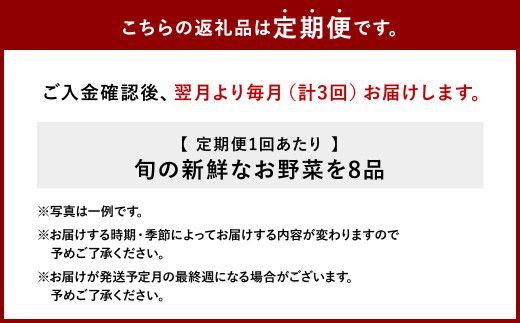 【3回定期便】特別栽培季節のお野菜セット 8品 野菜 新鮮 やさい 旬 詰合せ 国産 宮崎県 九州 送料無料