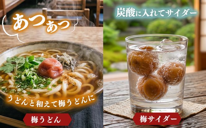 紀州南高梅つぶれ梅詰合せ