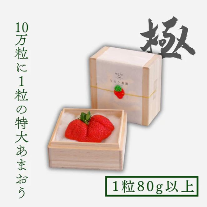 いちご 特大 あまおう 苺 「極」 1粒80g以上 2027年早期受付 果物
