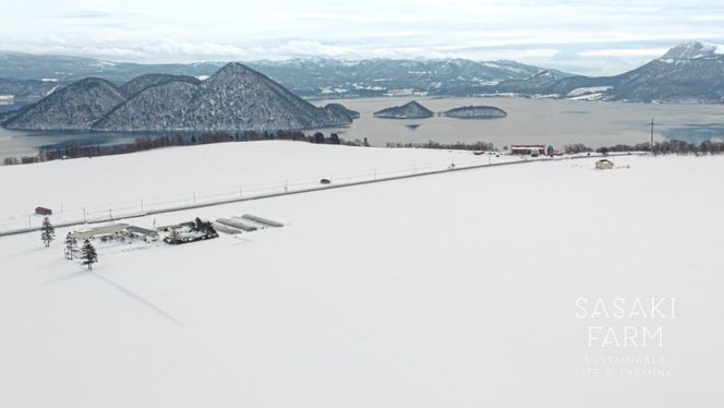 旬の野菜詰め合わせ ～ありがとうBOX2026・小～ 12月1日～1月31日頃お届け 先行予約 北海道 野菜 やさい 詰め合わせ セット 北海道産 常備菜 加工品 自然栽培 佐々木ファーム 産地直送 洞爺湖町