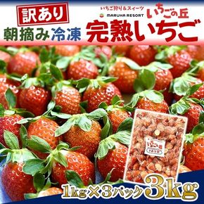 まるは食堂 マルハリゾート いちごの丘 『訳あり』完熟 冷凍いちご 3kg 1kg×3袋 ｜ 訳あり いちご イチゴ 冷凍 3kg 国産 完熟 スムージー ジャム ヨーグルト シャーベット デザート アイス おやつ 果物 フルーツ 愛知県 美浜町 ※北海道・沖縄・離島への配送不可