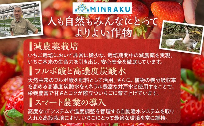 こだわり栽培 いちご 【食べ比べ】約1kg おいCベリー＆ゆめのか(各2パック)【2026年1月下旬～2026年4月末までお届け】 232238_DS010