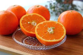 ZS6139n_主井農園 高級 セミノール 青秀 2.5kg