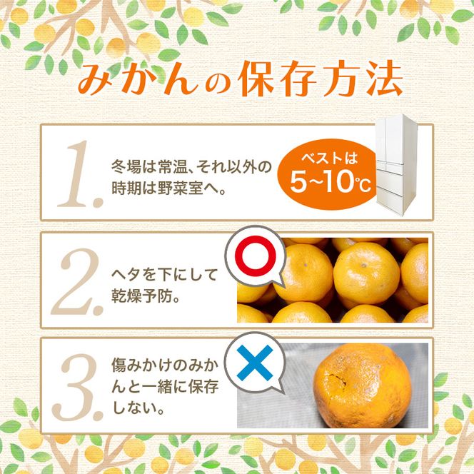 【2026年12月発送分】 ＼光センサー選別／農家直送 こだわりの有田みかん 約2kg【ご家庭用】【12月発送】みかん ミカン 有田みかん 温州みかん 柑橘 有田 和歌山 ※北海道・沖縄・離島配送不可/みかん ミカン 有田みかん 温州みかん 柑橘 有田 和歌山 産地直送【nuk159-12A】
