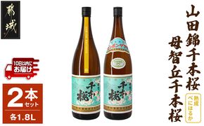 【柳田酒造】山田錦千本桜・母智丘 千本桜(25度)1.8L×2本 ≪みやこんじょ特急便≫_AC-0751_99