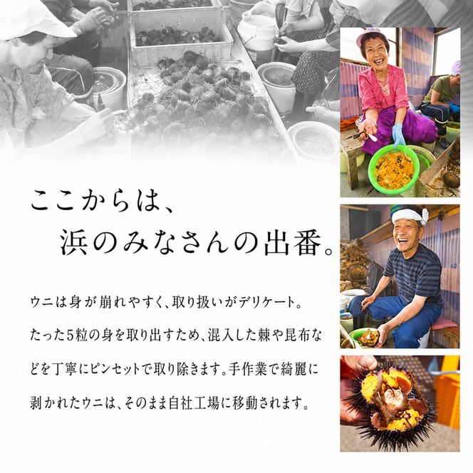 北海道礼文島産 旬凍エゾバフンウニ80g×1 魚貝類 雲丹 氷結 うに 
